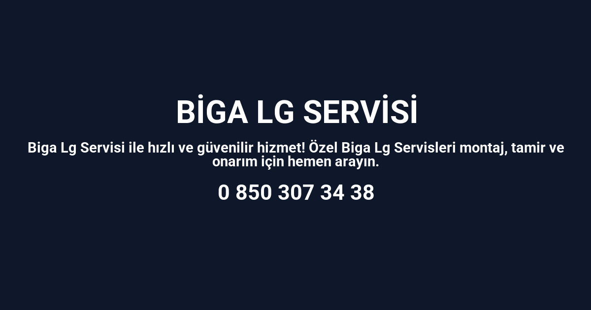 Biga Lg Servisi